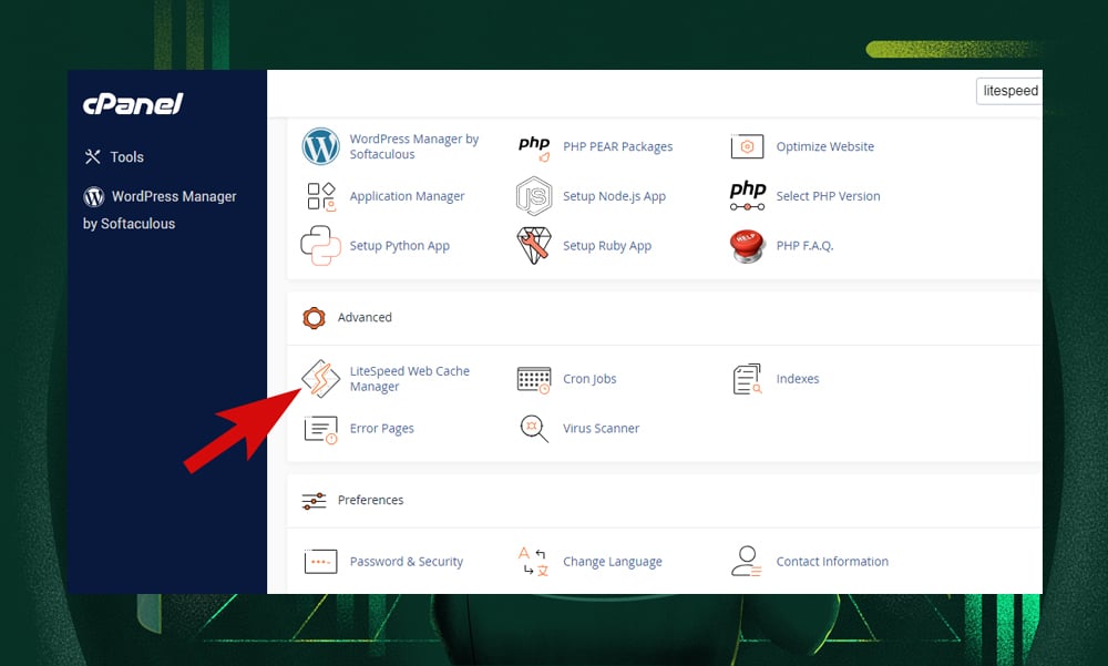 cpanel LiteSpeed