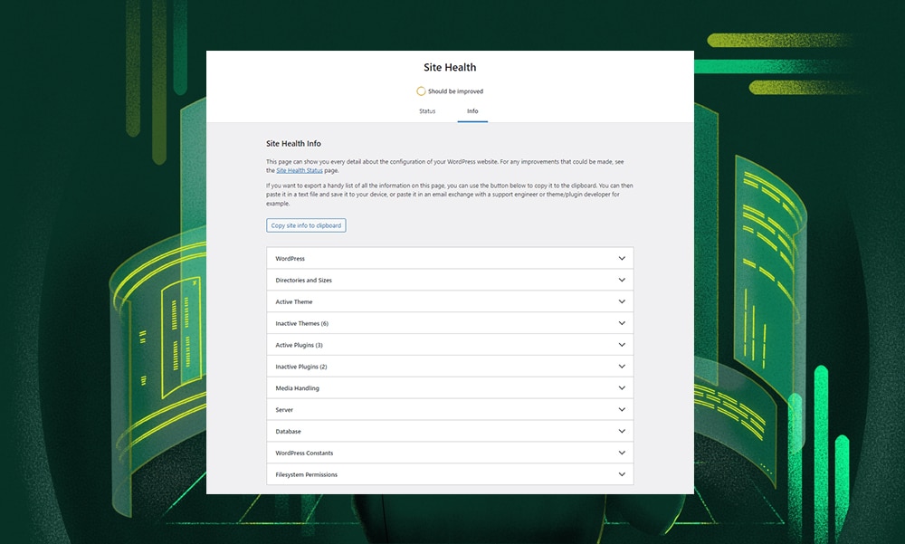 WordPress Site Health Check info tab